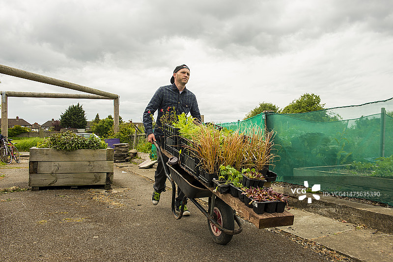 在他的土地上的园丁图片素材