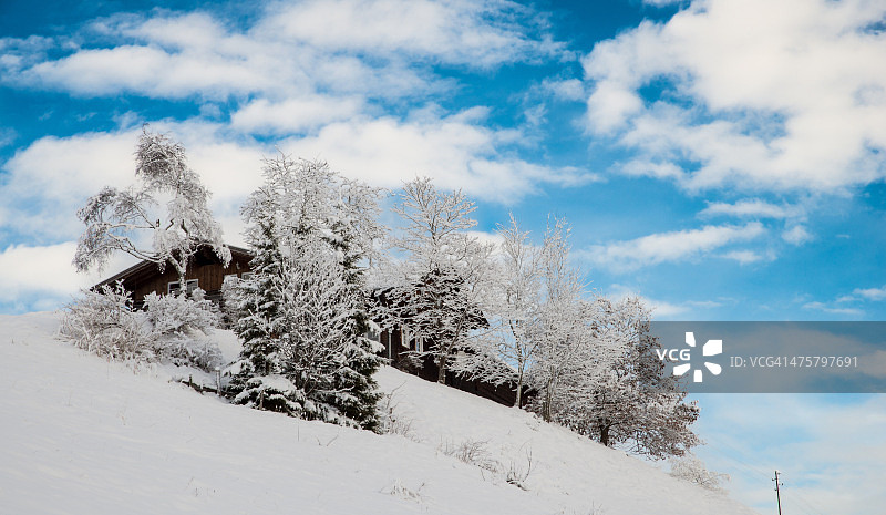 冬日山丘上的新鲜雪图片素材