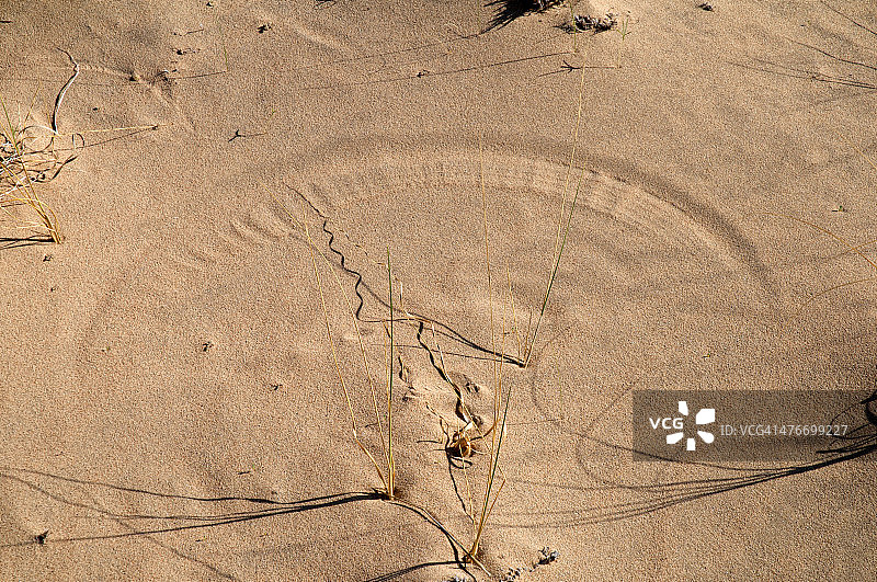 凯尔索沙丘图片素材