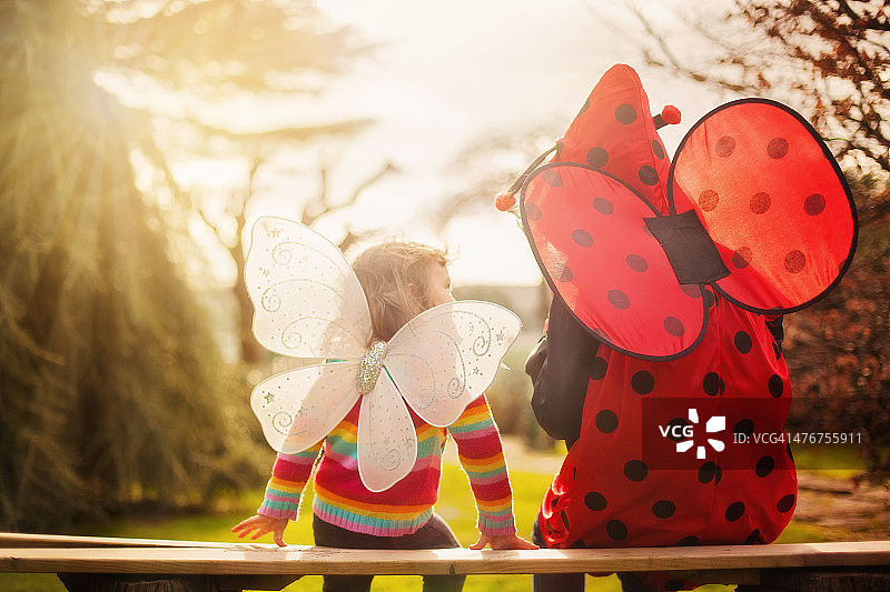 蝴蝶和小瓢虫图片素材