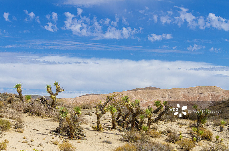 加利福尼亚州红岩峡谷州立公园图片素材