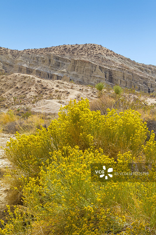 加利福尼亚州红岩峡谷州立公园图片素材