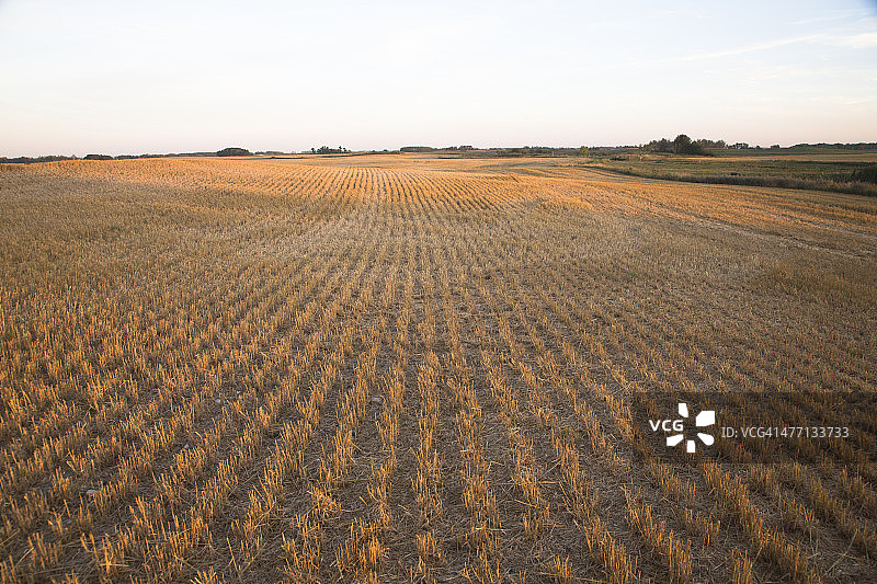 黄昏草原风光图片素材