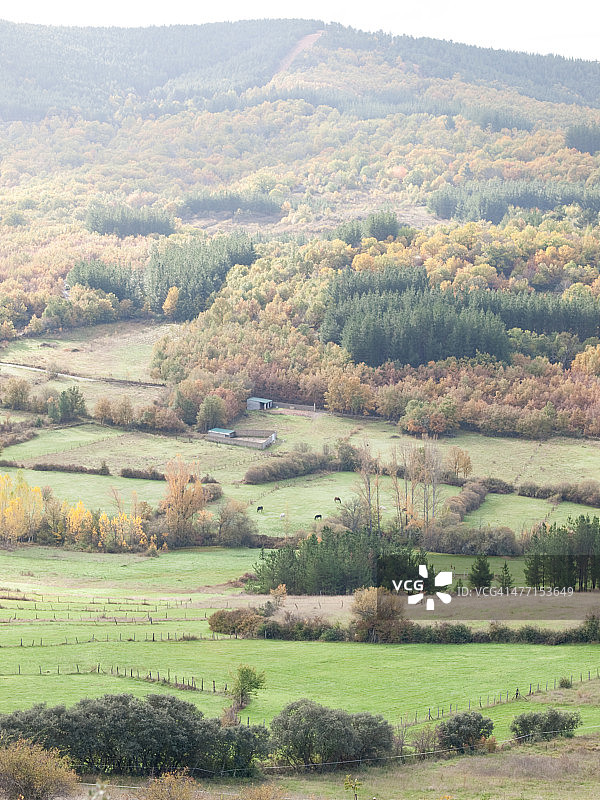 埃尔比耶尔索的秋天图片素材