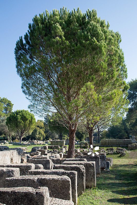 古奥林匹亚考古遗址图片素材