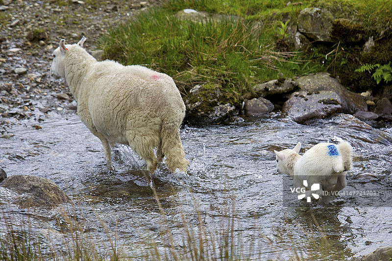 斯诺登尼亚国家公园图片素材