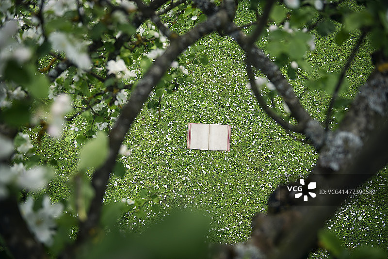 苹果花丛中的复古书籍图片素材