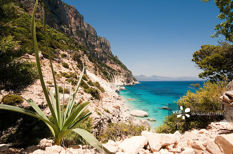 戈洛里策角图片素材