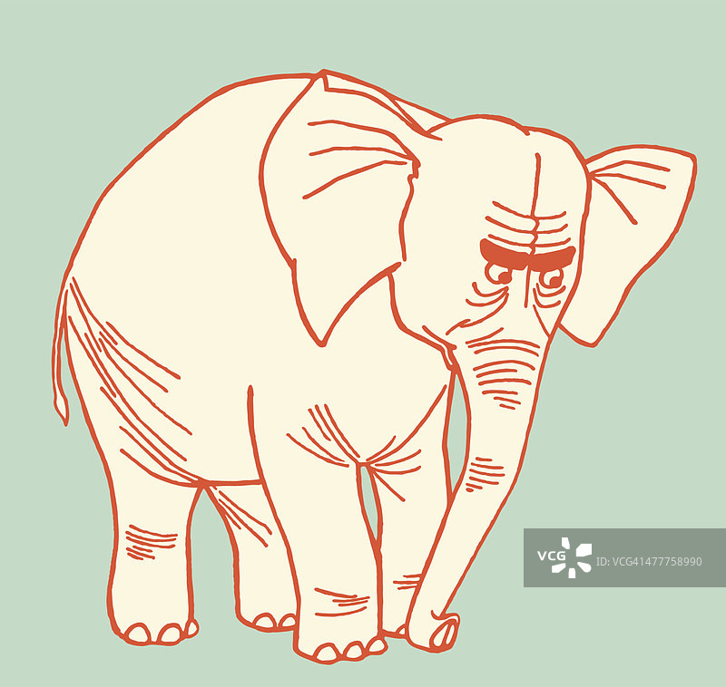 愤怒的大象图片素材