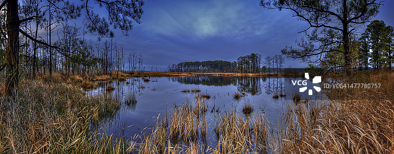 黑水国家野生动物保护区全景图片素材