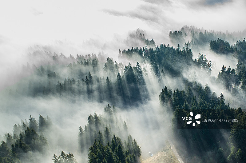 森林雾景航拍照片图片素材