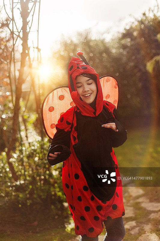 跳舞的瓢虫图片素材