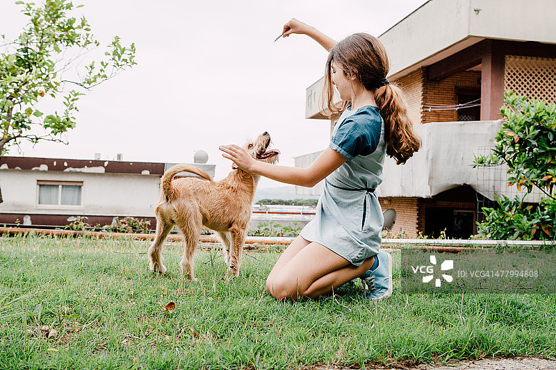 小女孩和狗玩耍图片素材