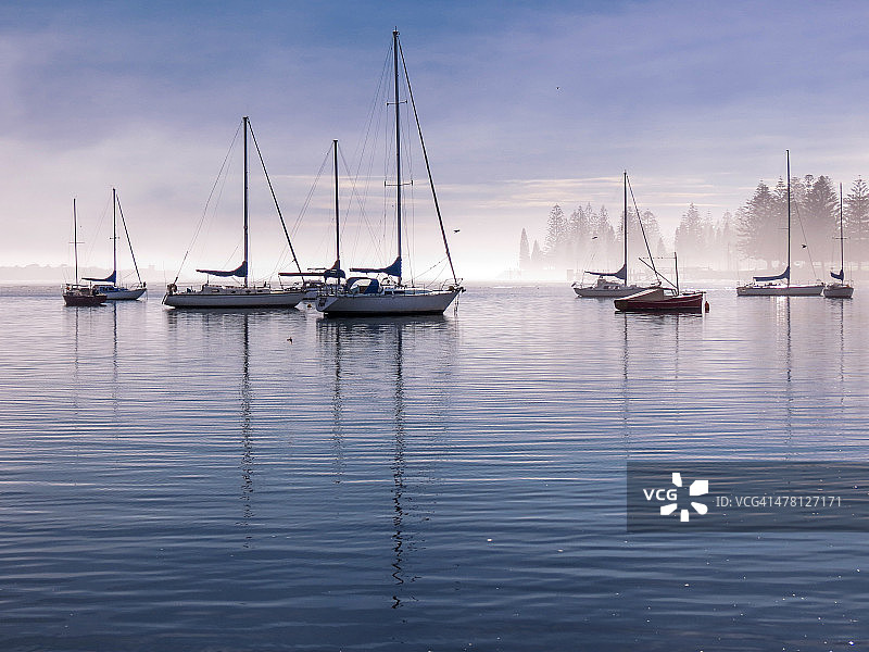 鹈鹕湾的清晨薄雾图片素材