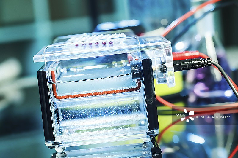 凝胶电泳图片素材