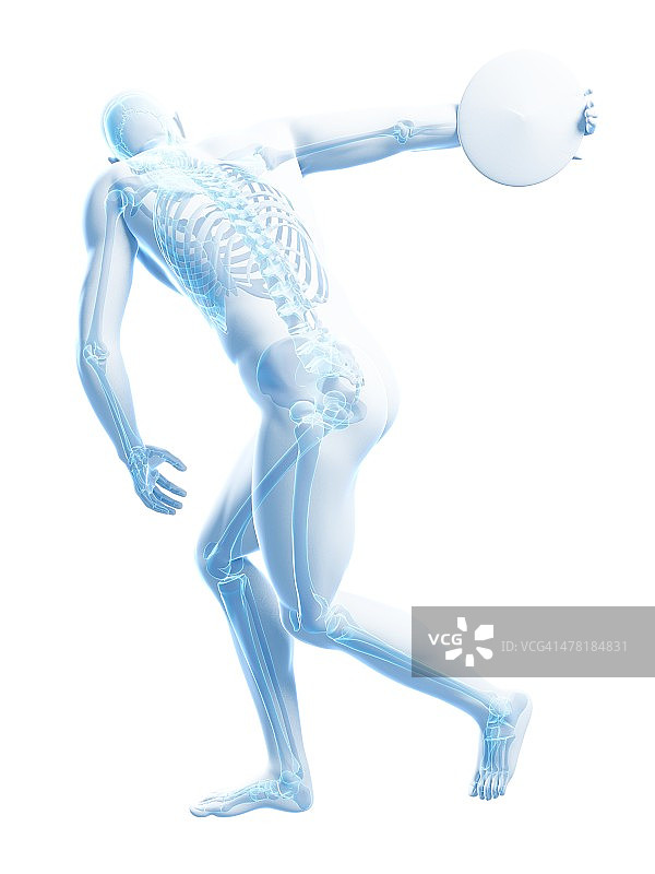 男性骨骼,艺术品图片素材