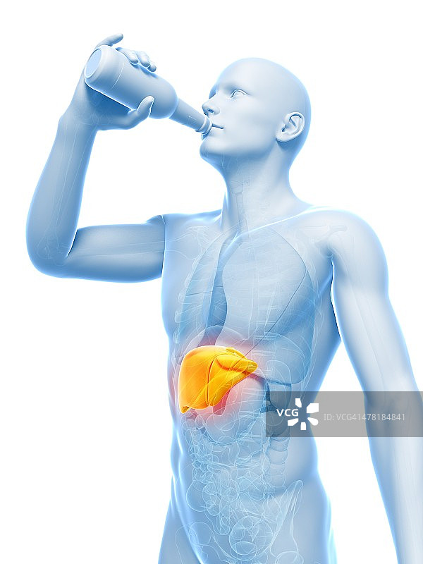 酒精性肝病图片素材