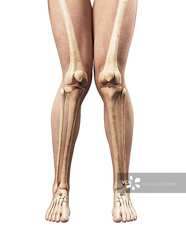 膝外翻艺术作品图片素材