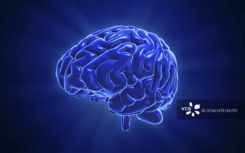 人类大脑、艺术品图片素材