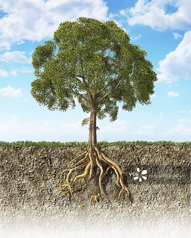 树木艺术作品图片素材