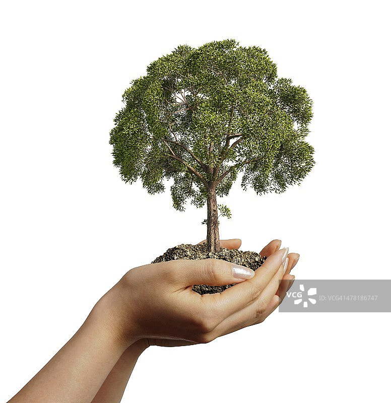 树木艺术作品图片素材