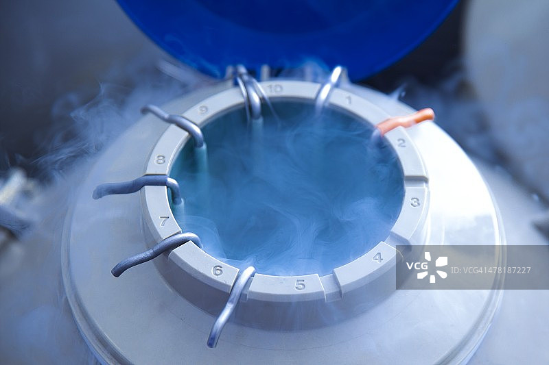 用于体外受精的卵子储存图片素材