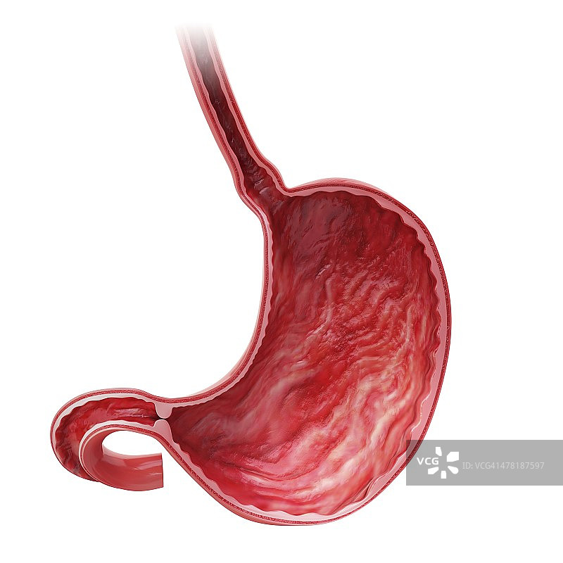 人体胃部艺术作品图片素材