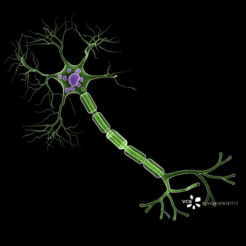 神经细胞艺术图图片素材