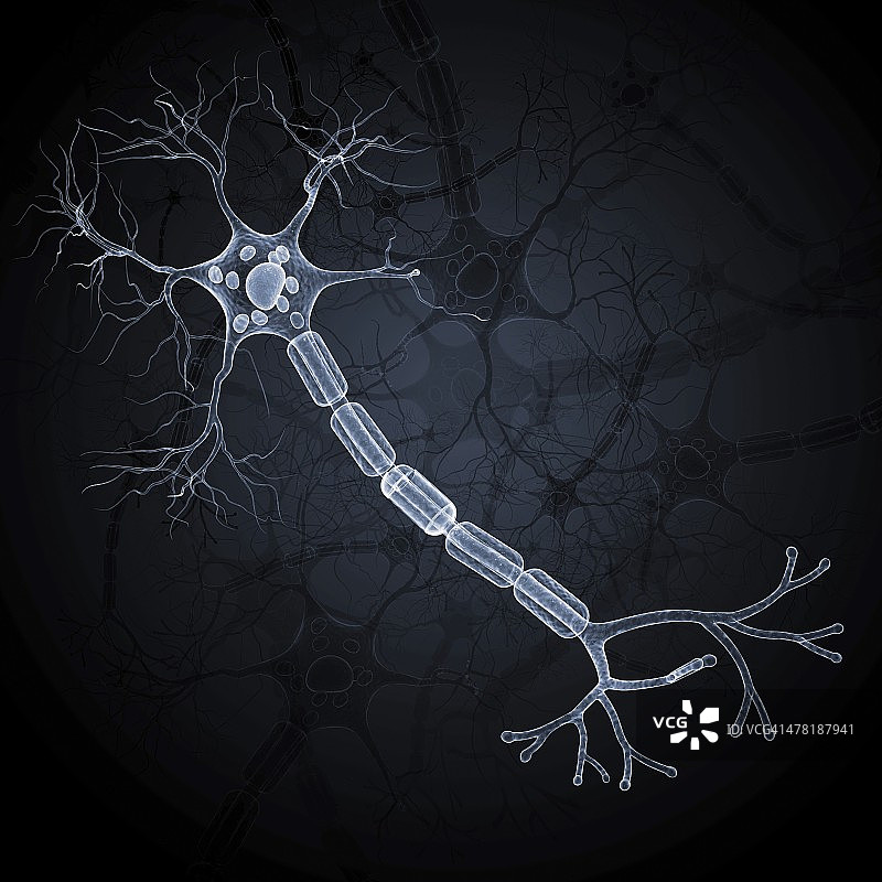 神经细胞艺术图图片素材