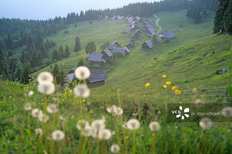 扎亚姆尼基：季节性山地农民的村庄图片素材
