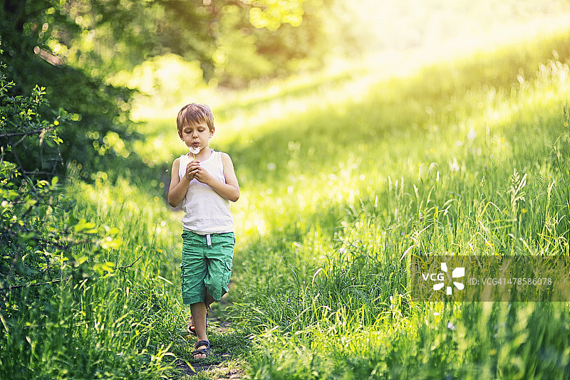 小男孩单腿站立吹蒲公英图片素材