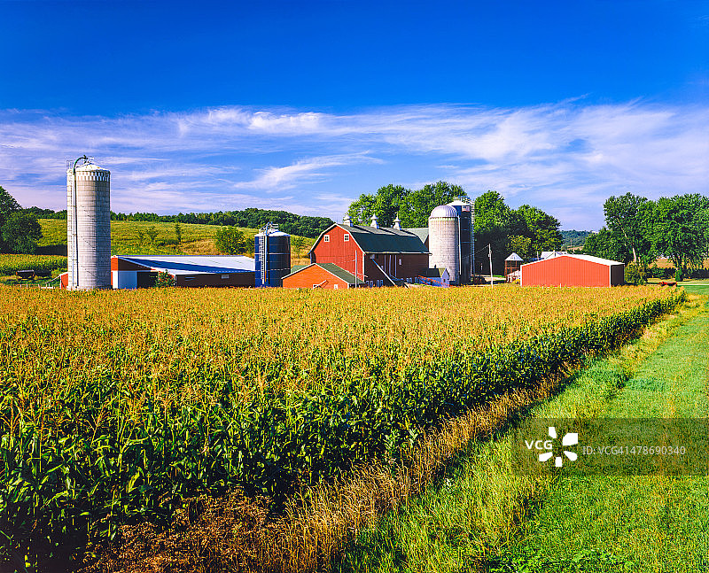收获季节的玉米作物和艾奥瓦州农场图片素材