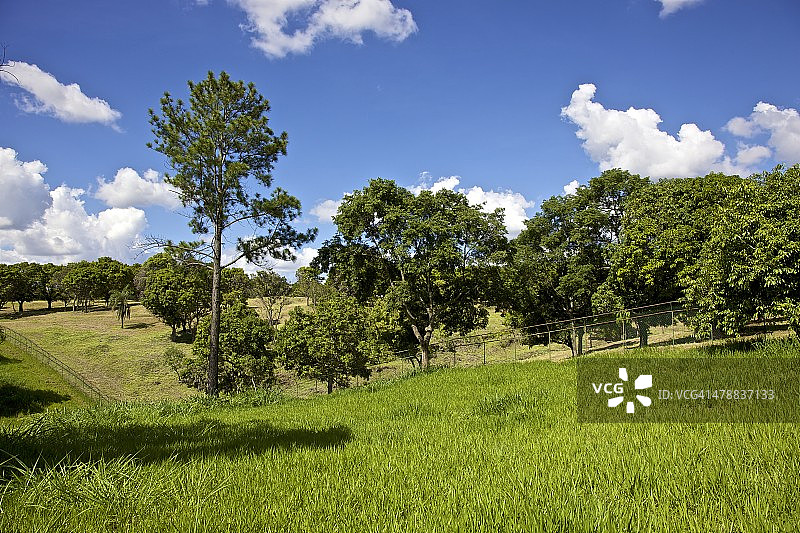 巴西利亚帕拉诺阿城市公园图片素材