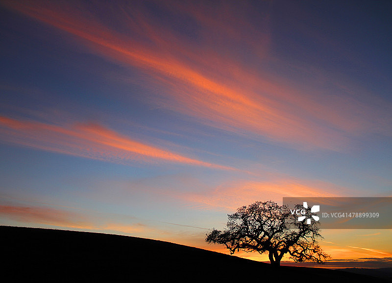 简约之美图片素材