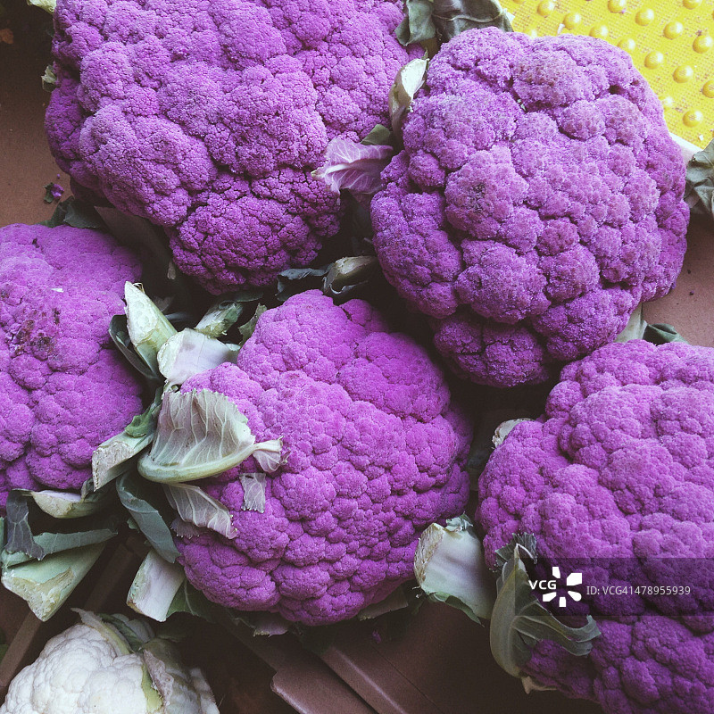 欧洲农民市场图片素材