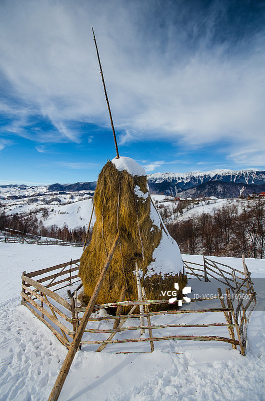 天堂梨图片素材