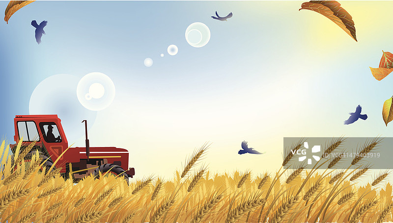 麦田收获图片素材