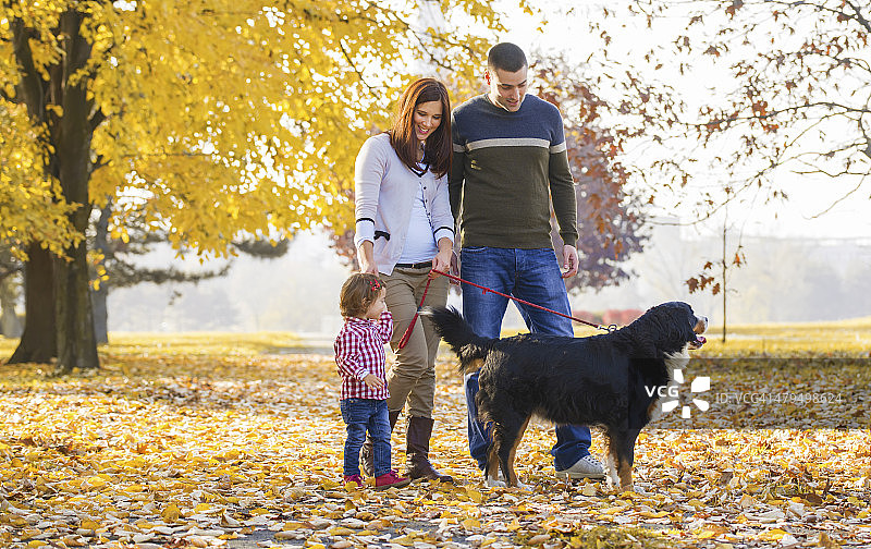 幸福的一家人和狗在户外图片素材