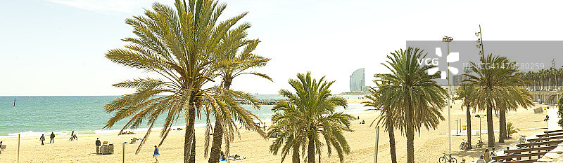 奥林匹克港图片素材