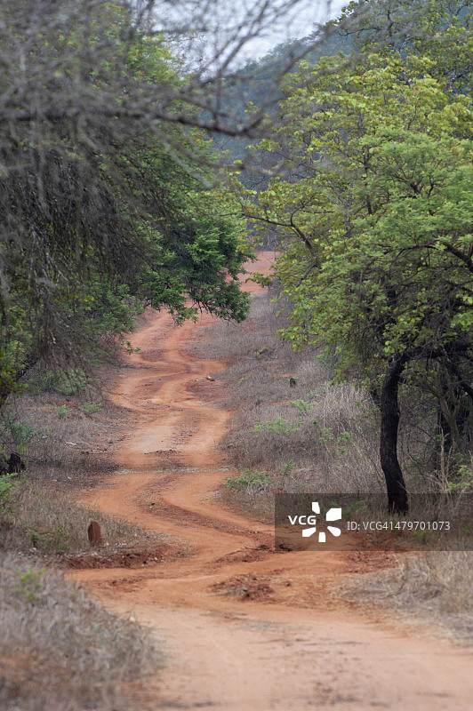 凯尔湖国家公园，津巴布韦马斯温戈省图片素材