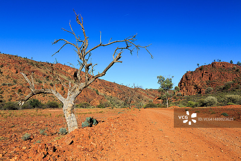 澳大利亚弗林德斯山脉的内陆道路图片素材