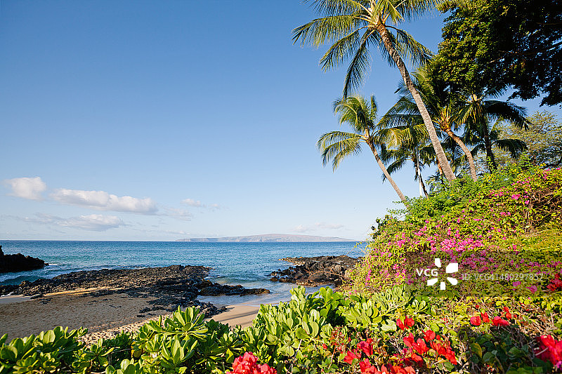热带海岸图片素材