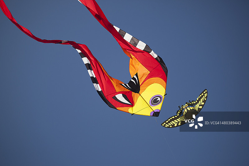 风筝飞舞图片素材