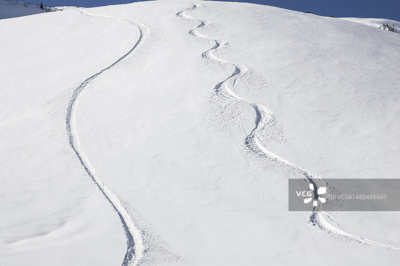 粉雪上的滑雪和滑雪板痕迹图片素材
