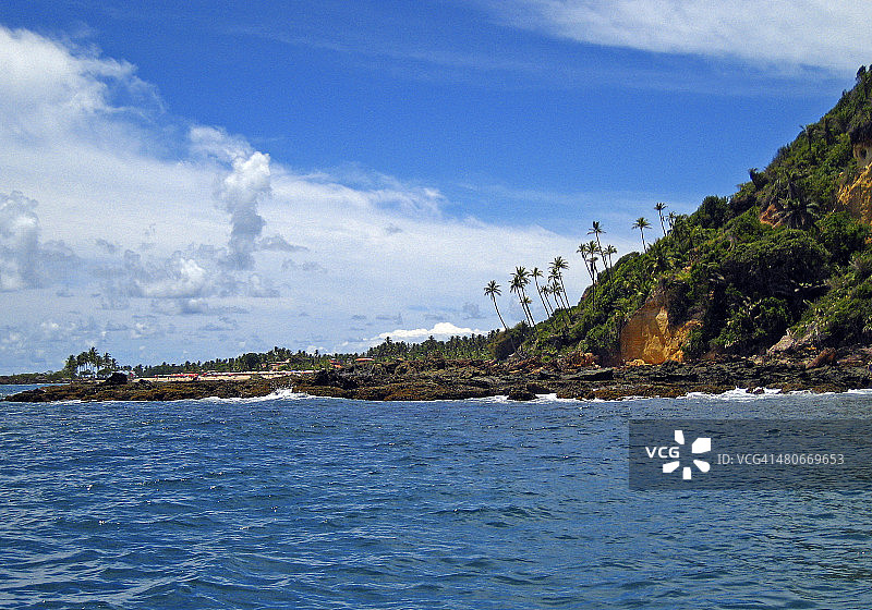 圣保罗山棕榈图片素材