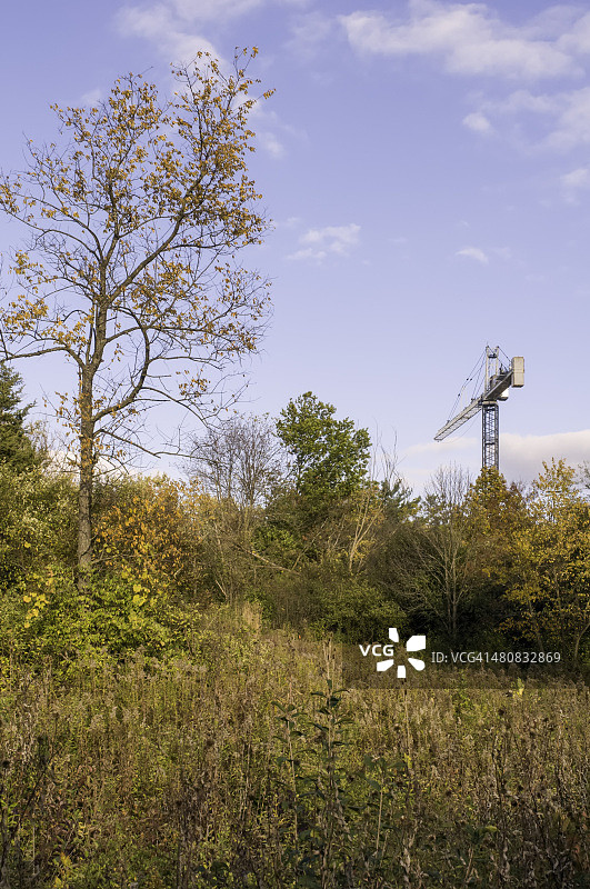 美国伊利诺伊州杜佩奇县唐纳斯格罗夫：新 Harbinger图片素材