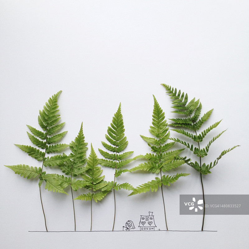 森林小屋旁的女子概念图图片素材