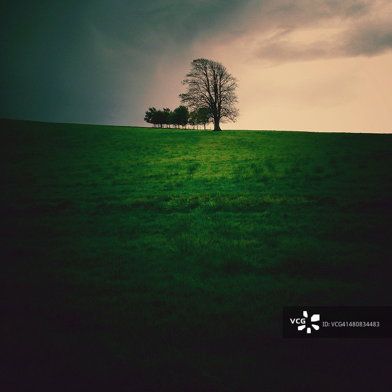 爱尔兰明斯特郡凯里郡基拉尼的丘陵树木图片素材