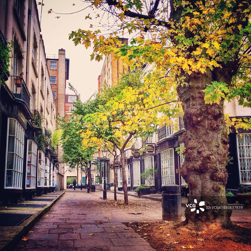 英国伦敦布卢姆斯伯里沃本广场圣潘克拉斯区图片素材