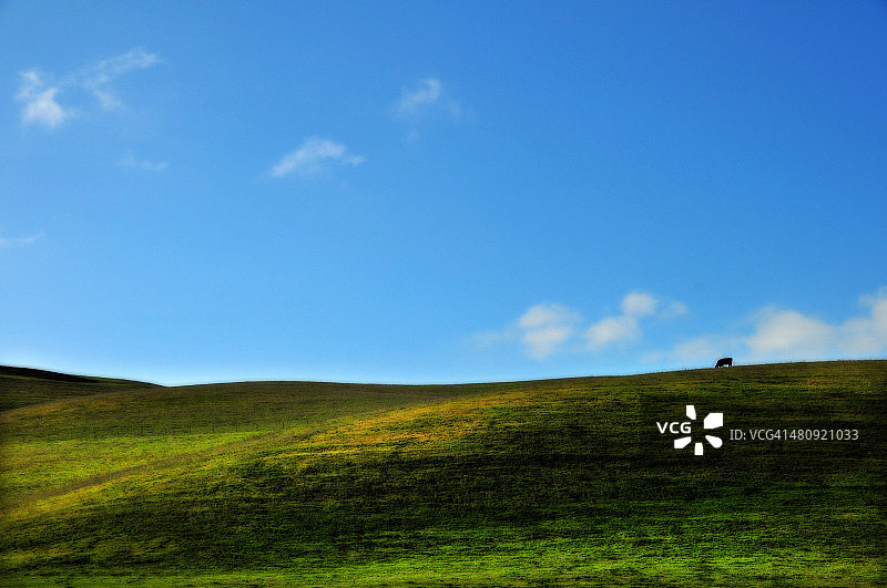 绿色山丘景观图片素材